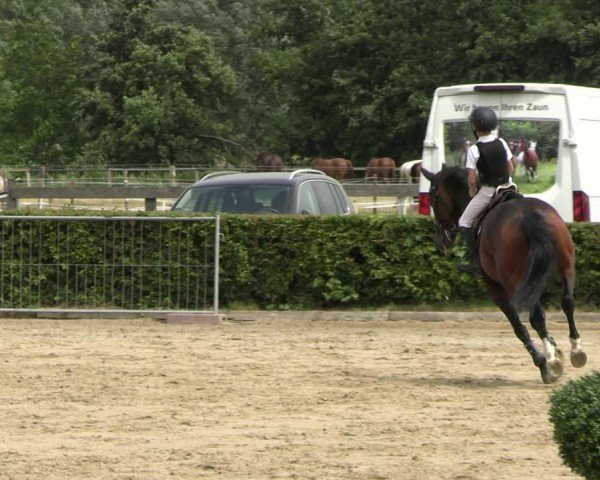 Reitturnier Neustadt/Dosse 2025