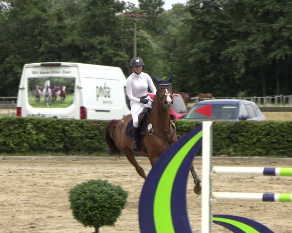 Reitturnier Neustadt/Dosse 2025