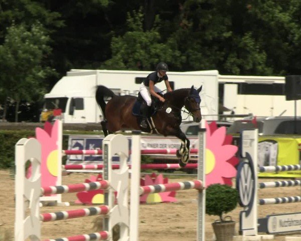 Reitturnier Neustadt/Dosse 2025