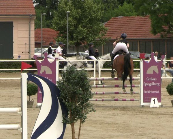 Reitturnier Neustadt/Dosse 2025