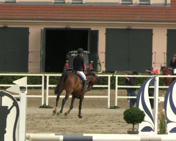 Reitturnier Neustadt/Dosse 2025