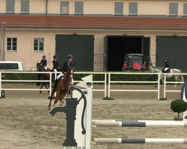 Reitturnier Neustadt/Dosse 2025