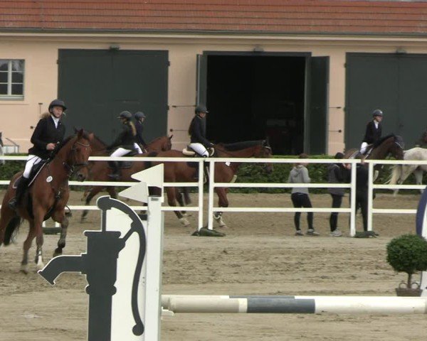 Reitturnier Neustadt/Dosse 2025