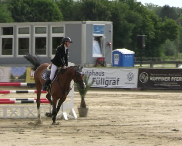 Reitturnier Neustadt/Dosse 2025