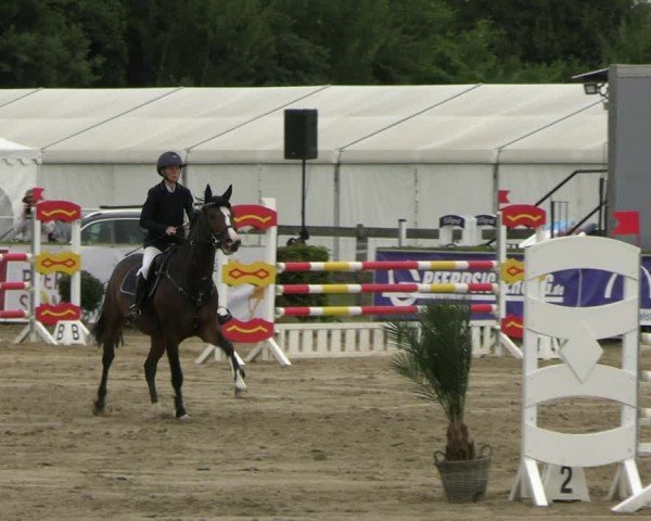 Reitturnier Neustadt/Dosse 2025