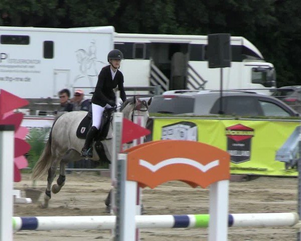 Reitturnier Neustadt/Dosse 2025
