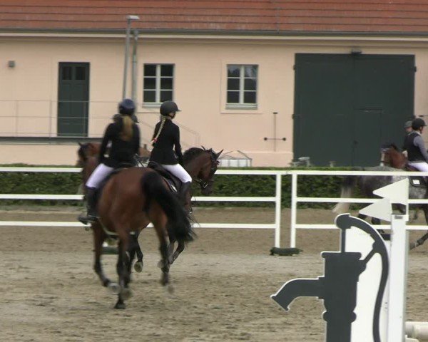 Reitturnier Neustadt/Dosse 2025