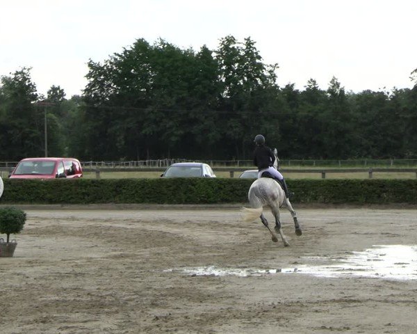 Reitturnier Neustadt/Dosse 2025