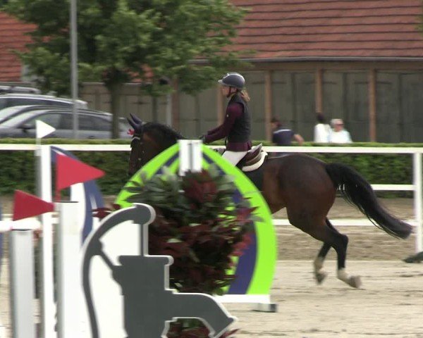 Reitturnier Neustadt/Dosse 2025