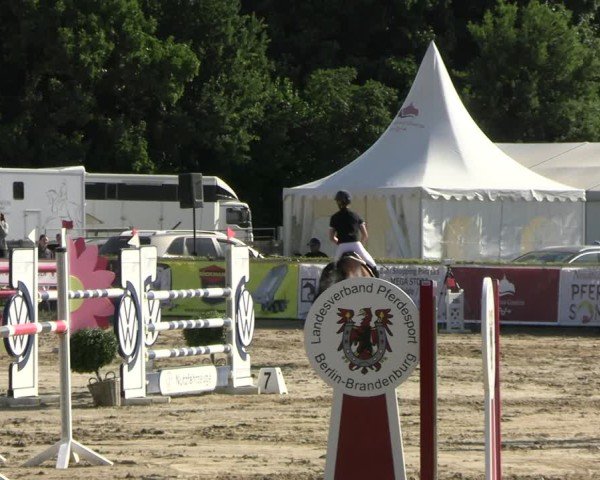 Reitturnier Neustadt/Dosse 2025