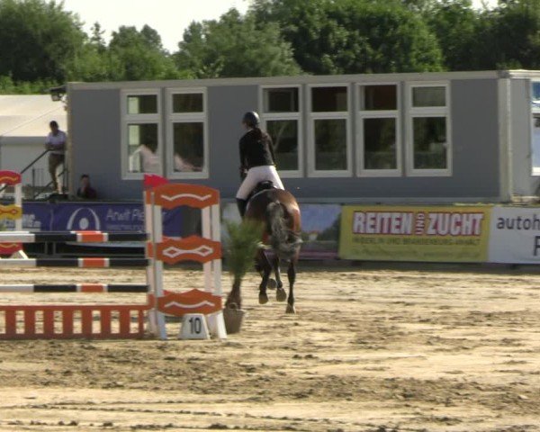 Reitturnier Neustadt/Dosse 2025