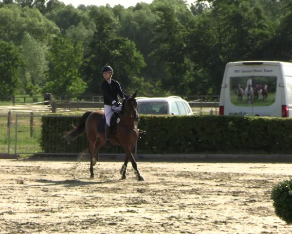 Reitturnier Neustadt/Dosse 2025