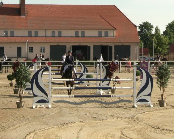Reitturnier Neustadt/Dosse 2025