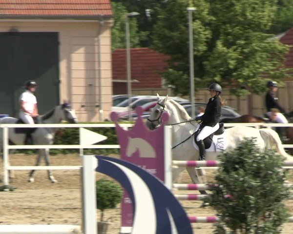 Reitturnier Neustadt/Dosse 2025