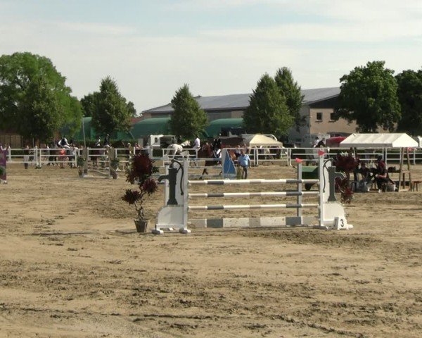 Reitturnier Neustadt/Dosse 2025
