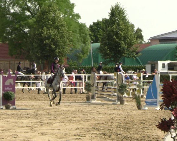 Reitturnier Neustadt/Dosse 2025