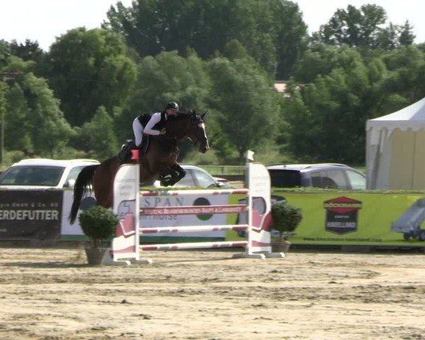 Reitturnier Neustadt/Dosse 2025