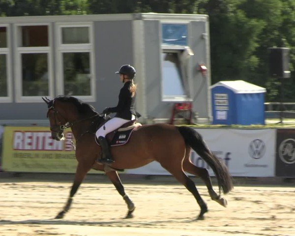 Reitturnier Neustadt/Dosse 2025