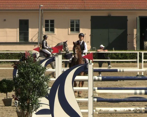 Reitturnier Neustadt/Dosse 2025