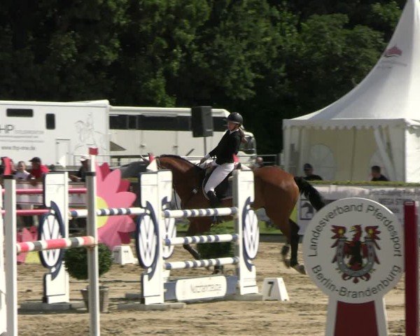 Reitturnier Neustadt/Dosse 2025
