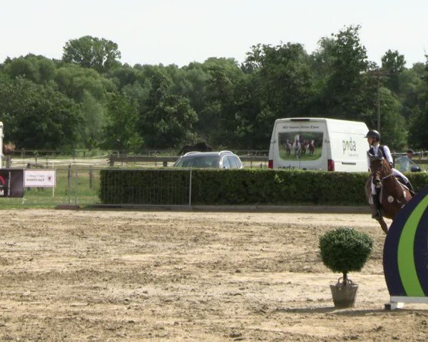 Reitturnier Neustadt/Dosse 2025