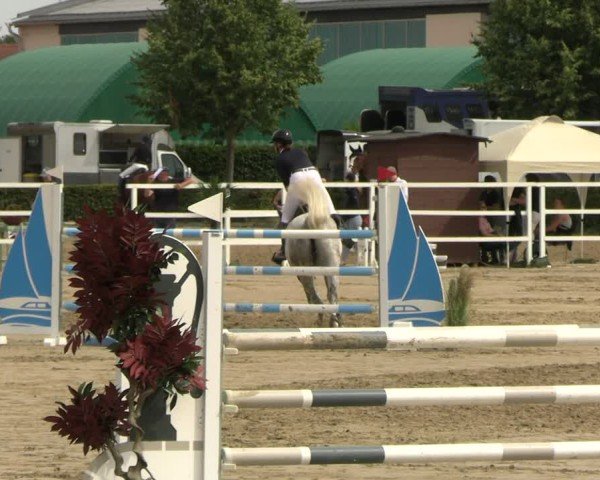 Reitturnier Neustadt/Dosse 2025