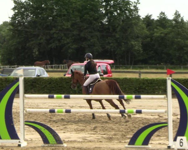 Reitturnier Neustadt/Dosse 2025