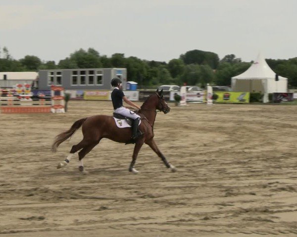 Reitturnier Neustadt/Dosse 2025