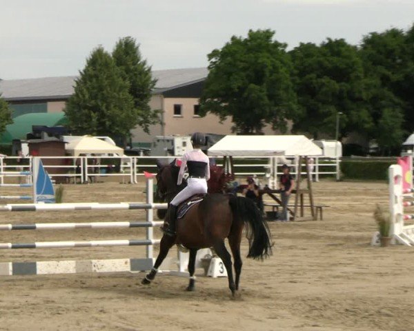 Reitturnier Neustadt/Dosse 2025