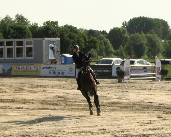 Reitturnier Neustadt/Dosse 2025