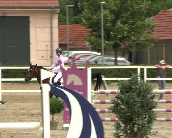 Reitturnier Neustadt/Dosse 2025
