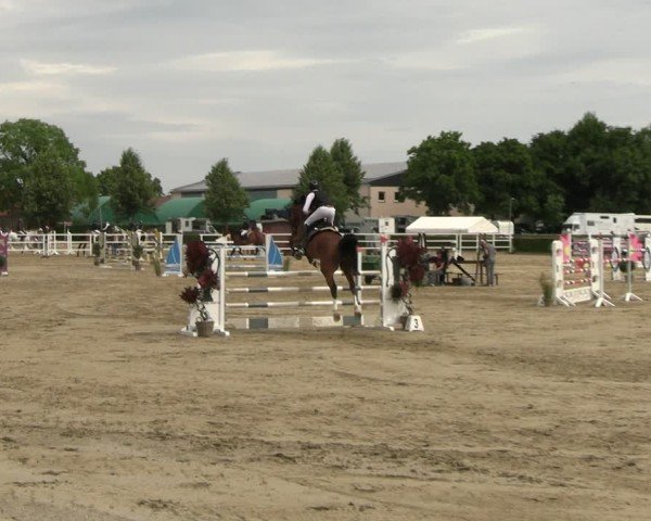 Reitturnier Neustadt/Dosse 2025