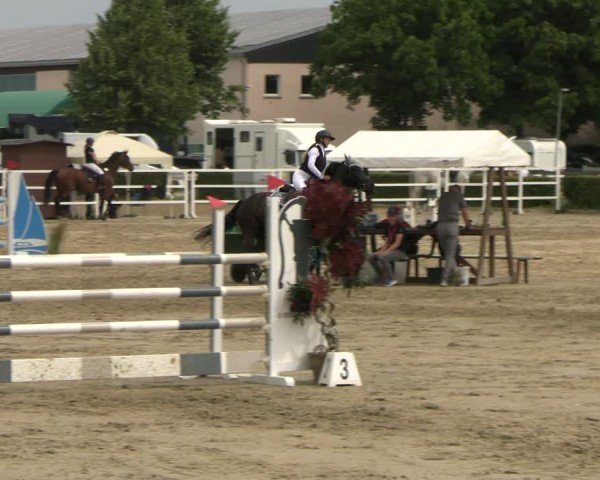 Reitturnier Neustadt/Dosse 2025