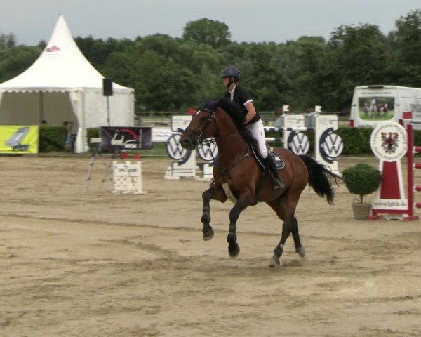 Reitturnier Neustadt/Dosse 2025