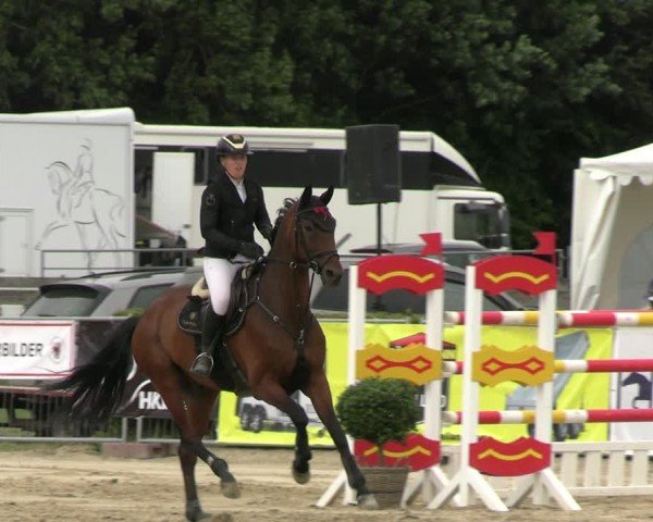 Reitturnier Neustadt/Dosse 2025