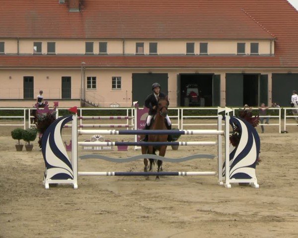 Reitturnier Neustadt/Dosse 2025