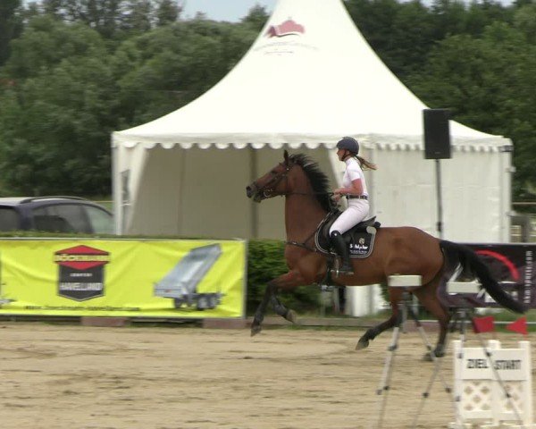 Reitturnier Neustadt/Dosse 2025