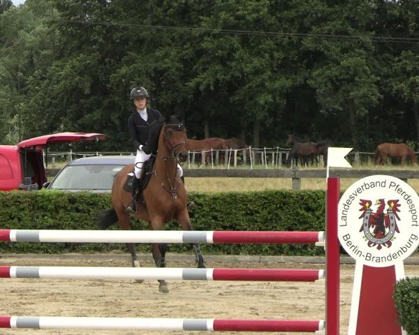 Reitturnier Neustadt/Dosse 2025
