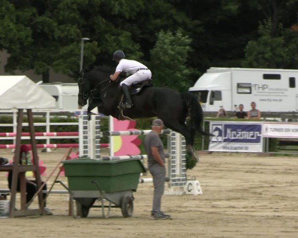 Reitturnier Neustadt/Dosse 2025