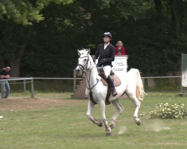 Reitturnier Wohlesbostel 2025