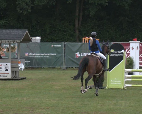 Reitturnier Wohlesbostel 2025