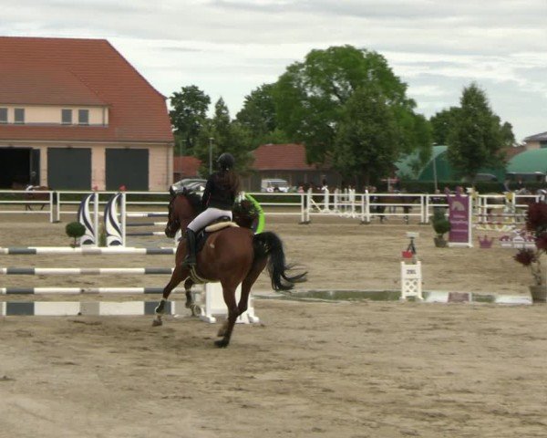 Reitturnier Neustadt/Dosse 2025
