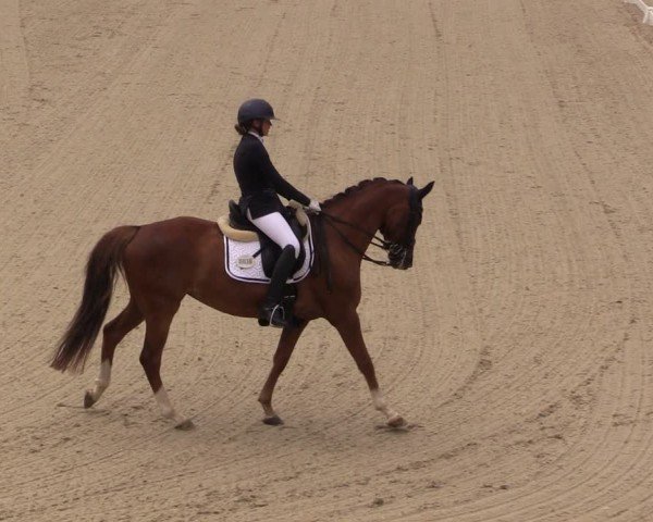Reitturnier Uder, Reitanlage Kobold 2025