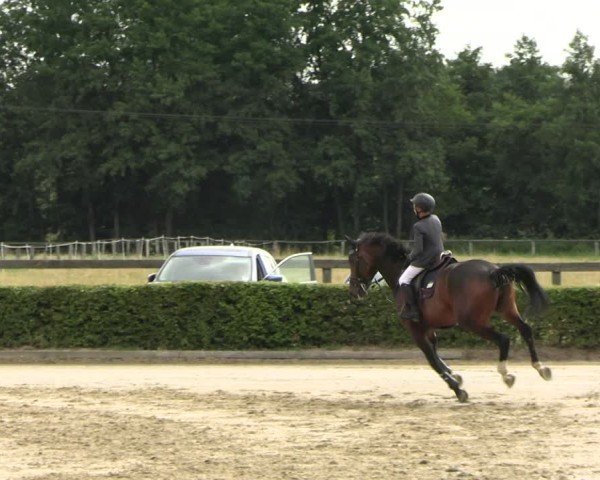 Reitturnier Neustadt/Dosse 2025
