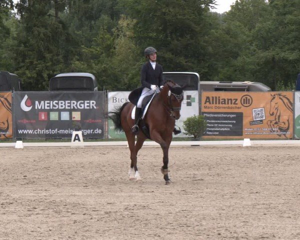 Reitturnier Heiligenwald 2025