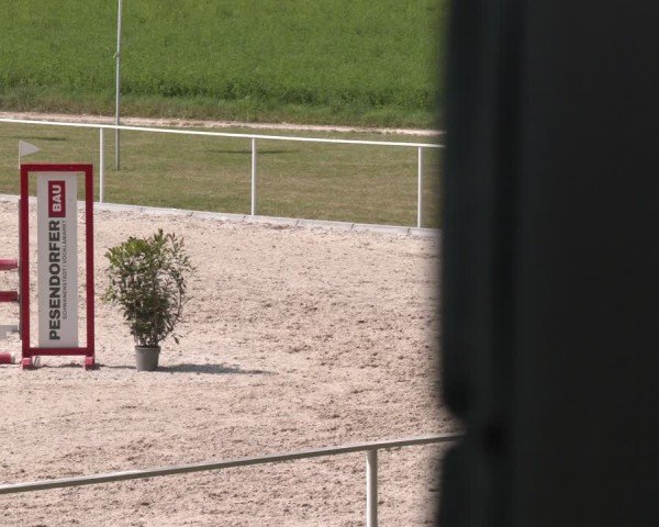 Springturnier Seewalchen 2025