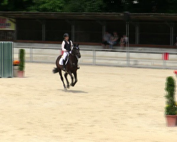 Reitturnier Ingolstadt-Hagau/Obb. 2025