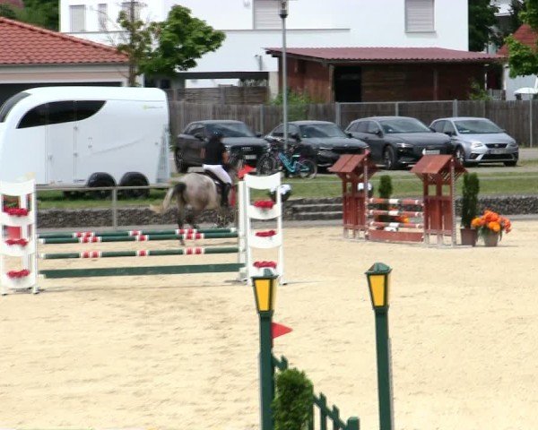 Reitturnier Ingolstadt-Hagau/Obb. 2025