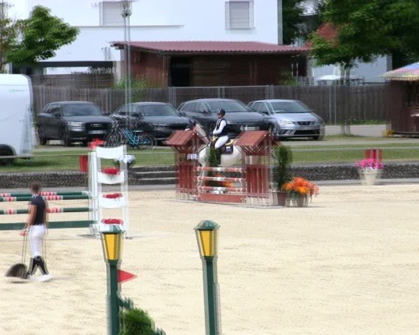 Reitturnier Ingolstadt-Hagau/Obb. 2025