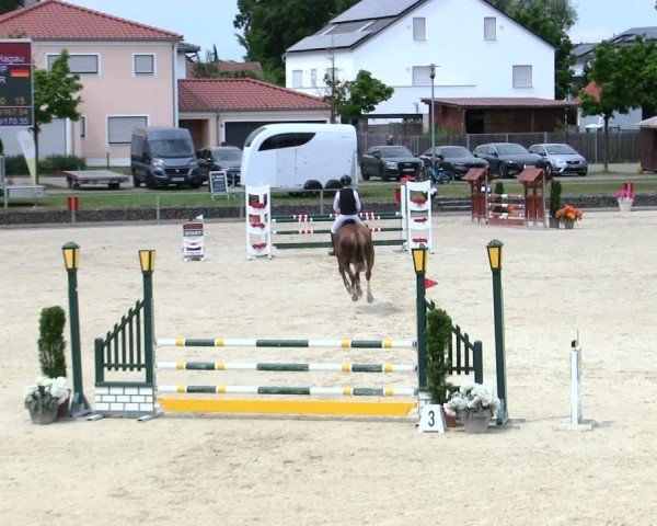 Reitturnier Ingolstadt-Hagau/Obb. 2025